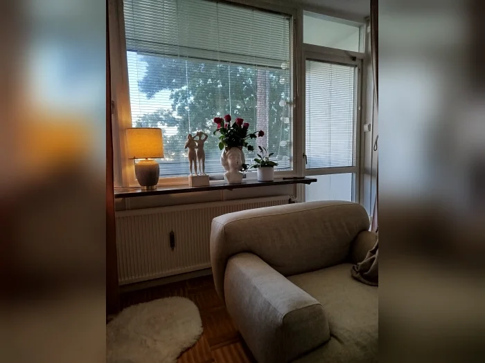 Förhandsbild 2