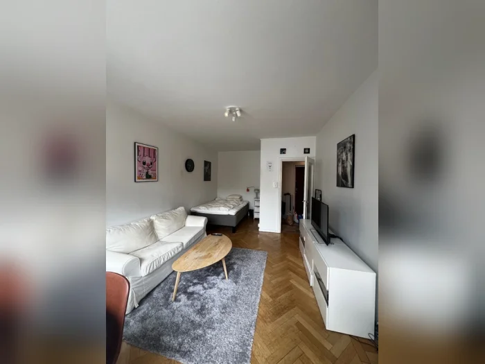 Förhandsbild 1