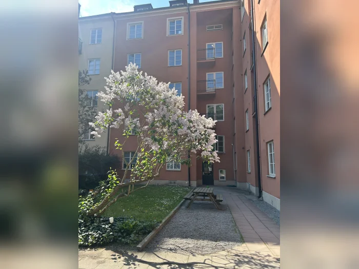 Förhandsbild 1