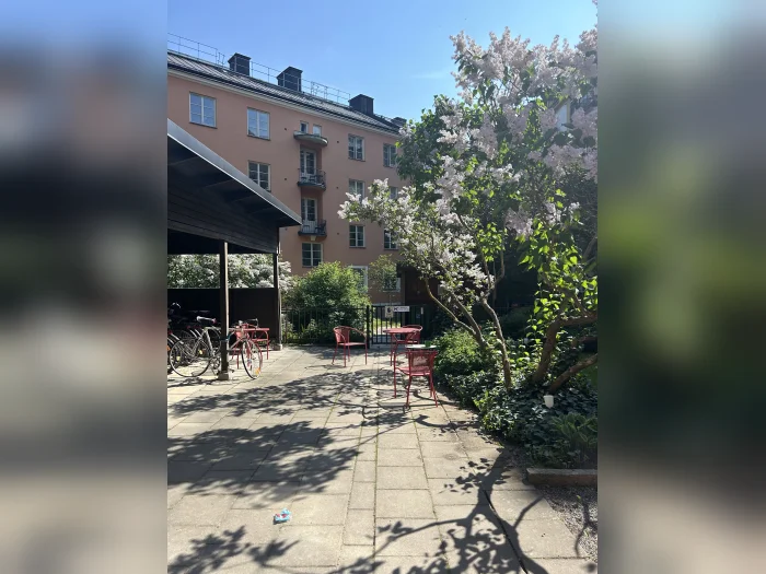 Förhandsbild 2