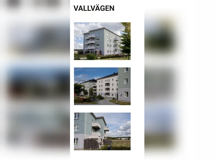Förhandsbild 3