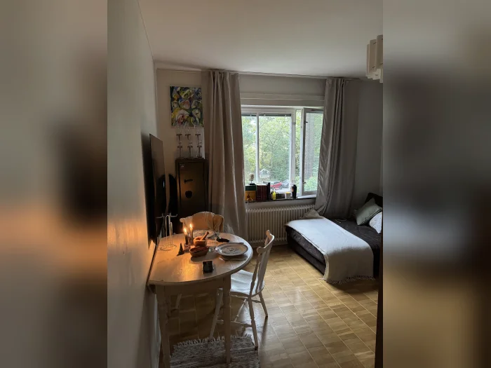 Förhandsbild 2