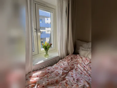 Förhandsbild 2